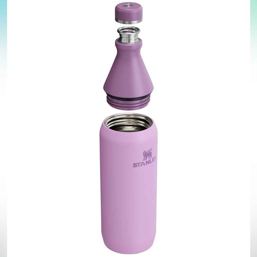 Stanley All Day Slim Bottle 20 oz - Picture 4 of 11